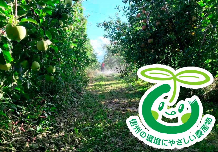 減農薬